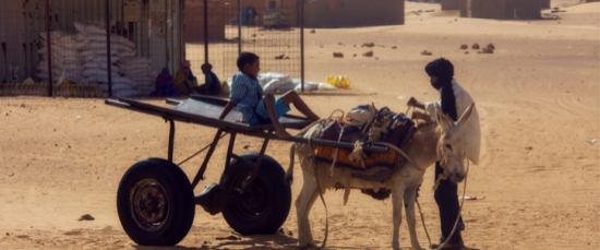 Caravana por la Paz. Recogida de alimentos para los Refugiados Saharauis