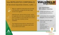 INFORMACIÓN DE INTERÉS | VIRUS DEL NILO OCCIDENTAL
