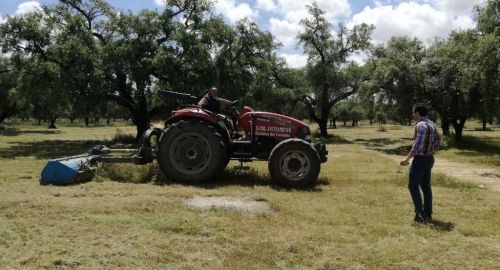 EL AYUNTAMIENTO COMIENZA CON LOS TRABAJOS DE DESBROCE Y LIMPIEZA DE LA DEHESA