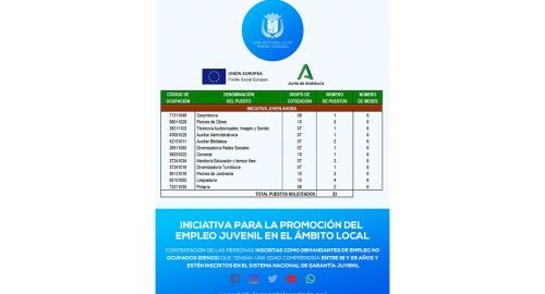 INICIATIVA PARA LA PROMOCIÓN DEL EMPLEO JUVENIL EN EL ÁMBITO LOCAL (JOVEN AHORA)