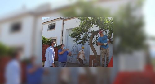 RECUPERACIÓN Y PODA DE ARBOLEDA