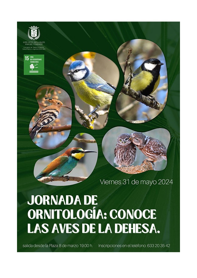 JORNADA DE ORNITOLOGÍA: CONOCE LAS AVES DE LA DEHESA