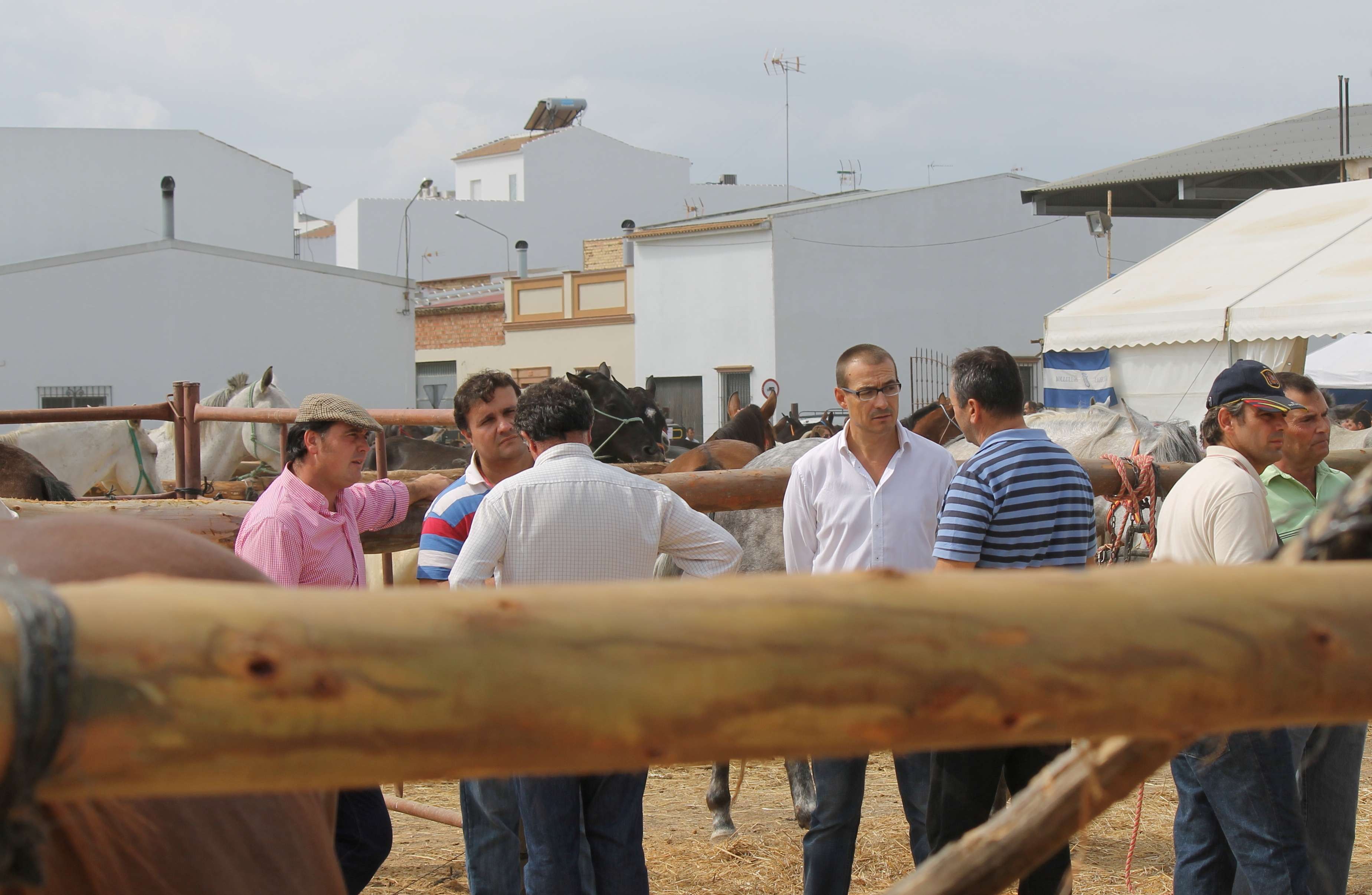 ÉXITO SIN PRECEDENTES DE LA I FERIA DE GANADO CIUDAD DE BOLULLOS