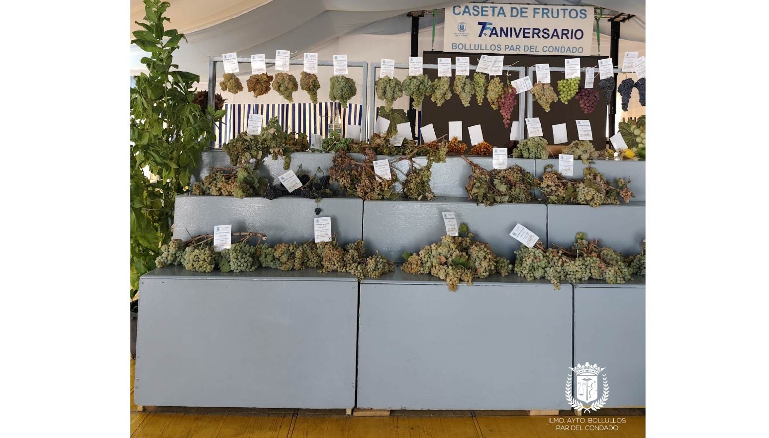 75 ANIVERSARIO DE NUESTRO CONCURSO COMARCAL DE FRUTOS