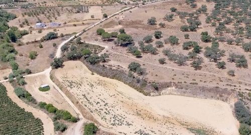 ENTRA EN VIGOR LA ORDENANZA REGULADORA DE PARCELAS RÚSTICAS ABANDONAS