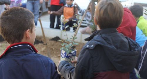 BOLLULLOS FLORECE CON EL PROGRAMA CONSERVACIÓN DE LOS BOSQUES 