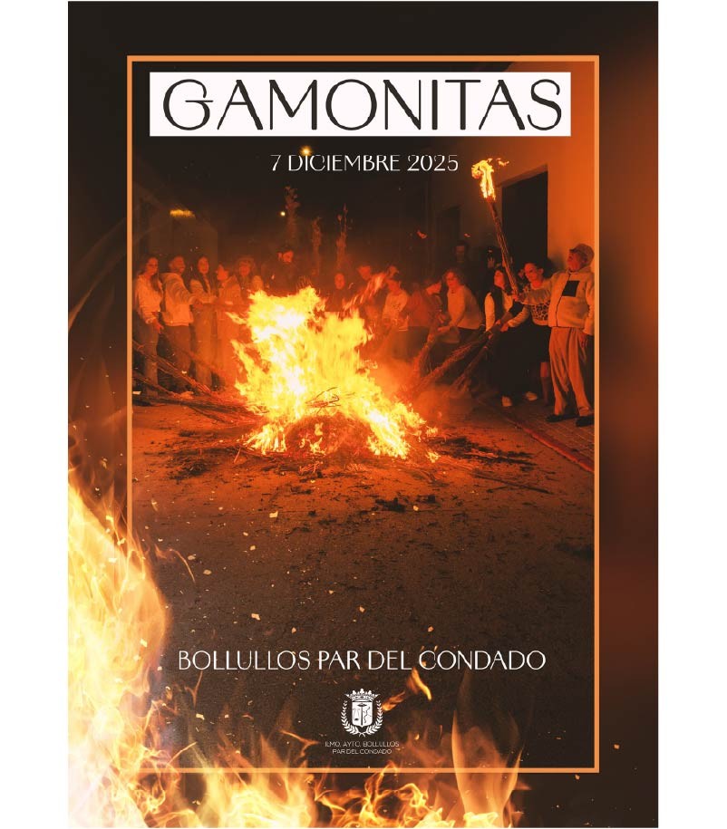 DÍA DE LAS GAMONITAS 2025