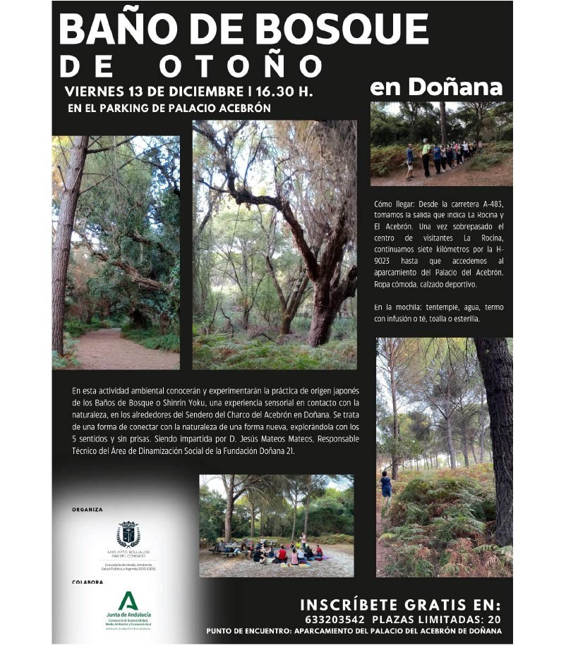 BAÑO DE BOSQUE DE OTOÑO EN DOÑANA 2024