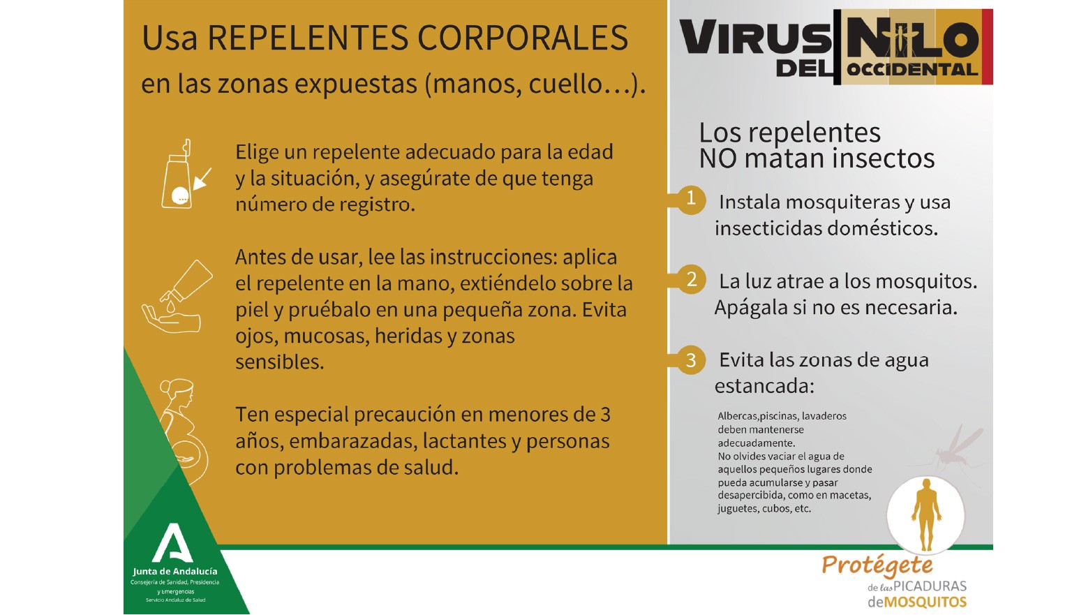 INFORMACIÓN DE INTERÉS | VIRUS DEL NILO OCCIDENTAL