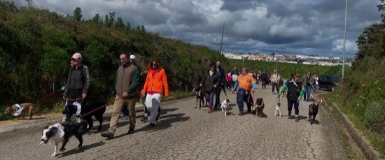 UN CENTENAR DE PARTICIPANTES EN LA CAMINATA SOLIDARIA “YO PASEO CON MI PERRO, ¿Y TÚ?”