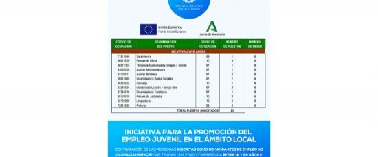 INICIATIVA PARA LA PROMOCIÓN DEL EMPLEO JUVENIL EN EL ÁMBITO LOCAL (JOVEN AHORA)