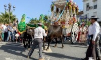 CIENTOS DE ROCIEROS ACOMPAÑARON A LA CARRETA DE BOLLULLOS EN EL DESFILE Y EL CAMINO HACIA EL ROCÍO