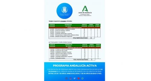 INICIATIVA PARA EL FOMENTO DEL EMPLEO EN EL ÁMBITO LOCAL (PROGRAMA ANDALUCÍA ACTIVA)