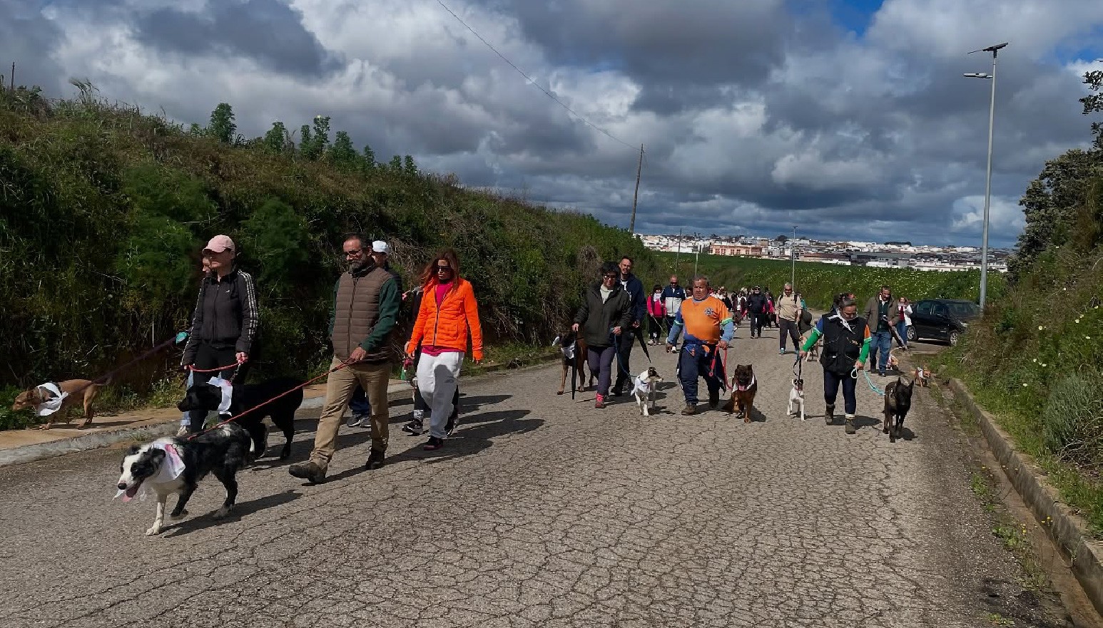UN CENTENAR DE PARTICIPANTES EN LA CAMINATA SOLIDARIA “YO PASEO CON MI PERRO, ¿Y TÚ?”