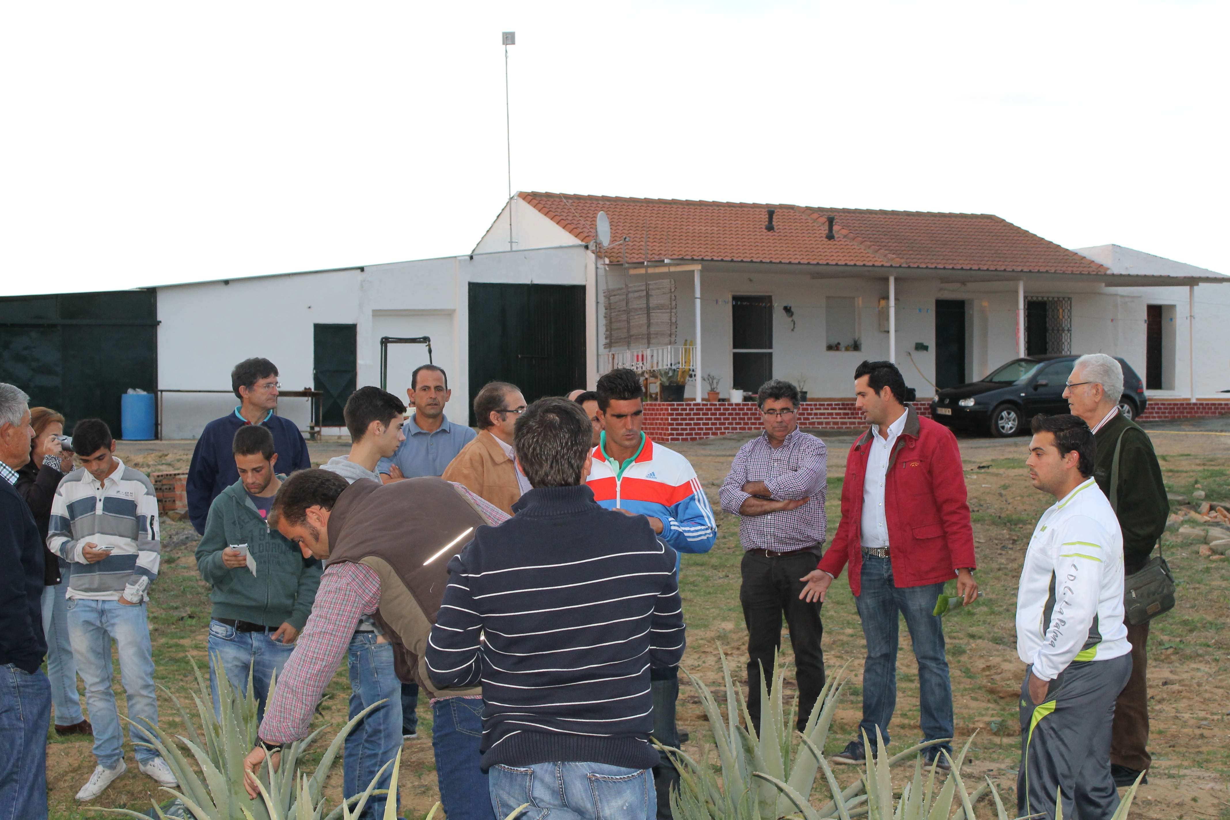 GRAN INTERÉS DE LOS AGRICULTORES BOLLULLEROS A LA INICIATIVA MUNICIPAL SOBRE EL CULTIVO DE ALOE-VERA