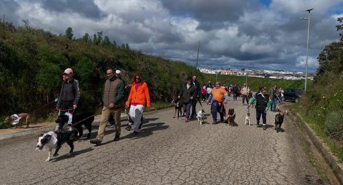 UN CENTENAR DE PARTICIPANTES EN LA CAMINATA SOLIDARIA “YO PASEO CON MI PERRO, ¿Y TÚ?”