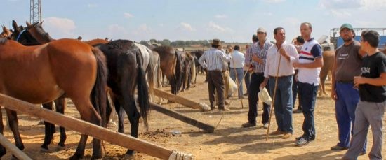 Bollullos celebra este fin de semana su II Feria Ganadera 2015