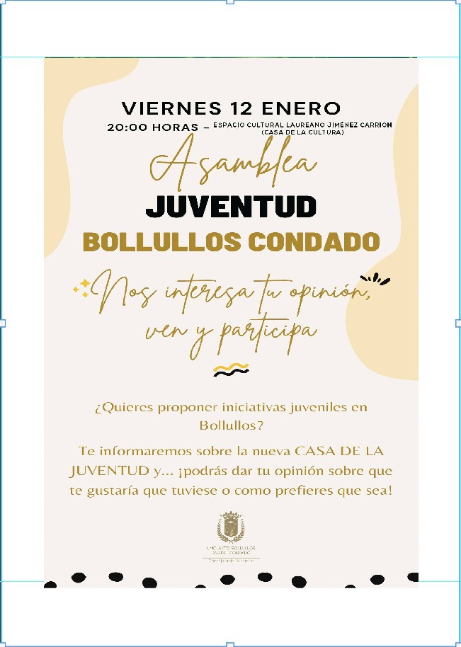 ASAMBLEA DE LA JUVENTUD BOLLULLOS DEL CONDADO