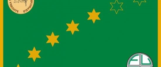 BANDERA VERDE 