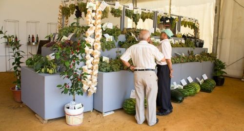 LXX CONCURSO COMARCAL DE FRUTOS - FERIA 2018