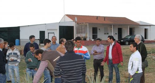 GRAN INTERÉS DE LOS AGRICULTORES BOLLULLEROS A LA INICIATIVA MUNICIPAL SOBRE EL CULTIVO DE ALOE-VERA