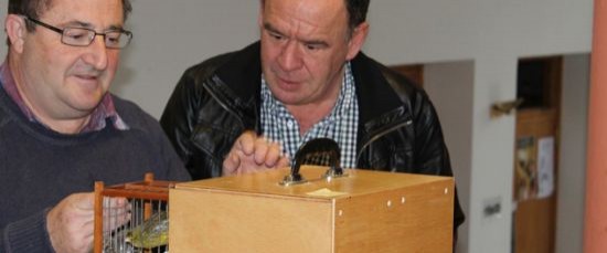 BOLLULLOS, COMPROMETIDO CON EL DEPORTE