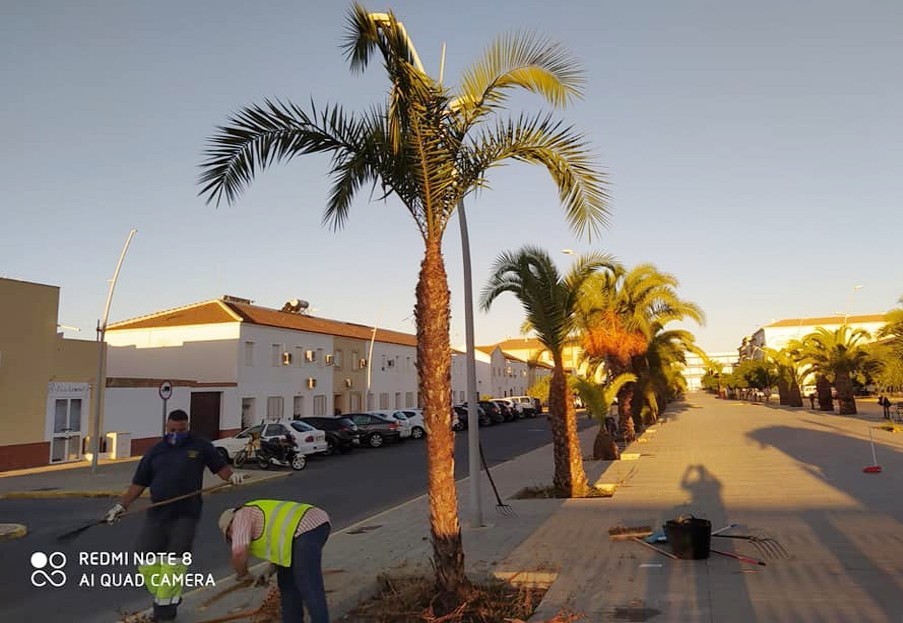 LA CONCEJALÍA DE AGRICULTURA CONTINÚA CON LA RECUPERACIÓN DE PARQUES Y JARDINES DE LA LOCALIDAD