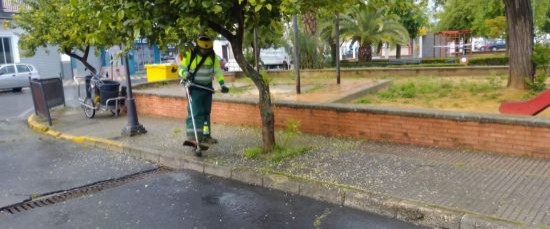 COMENZAMOS CON LAS TAREAS DE JARDINERÍA