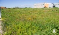 SALE A LA VENTA UNA NUEVA FASE DE 2.500 m² DE SUELO INDUSTRIAL EN EL P.I. EL LIRIO