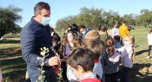 SE PLANTAN 260 NUEVOS ALCORNOQUES PARA SU REFORESTACIÓN .