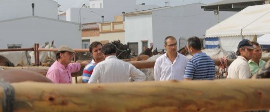 ÉXITO SIN PRECEDENTES DE LA I FERIA DE GANADO CIUDAD DE BOLULLOS