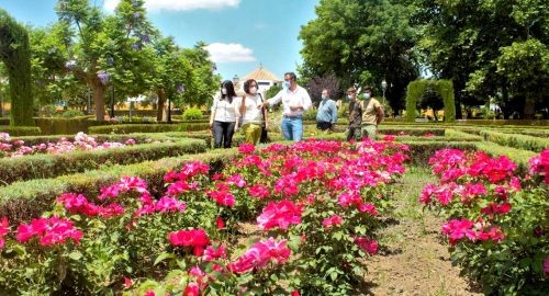 ENTRA EN VIGOR UNA NUEVA ORDENANZA REGULADORA DE ZONAS VERDES