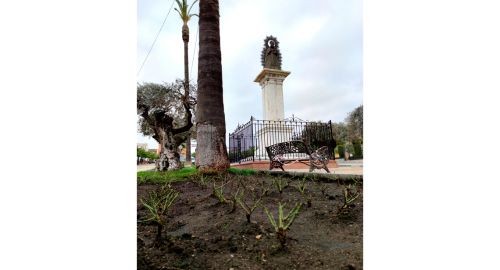 RENOVACIÓN DE LA ROSALEDA CON 900 NUEVAS PLANTAS