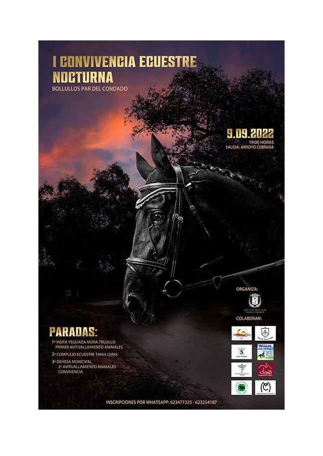 I CONVIVENCIA ECUESTRE NOCTURNA