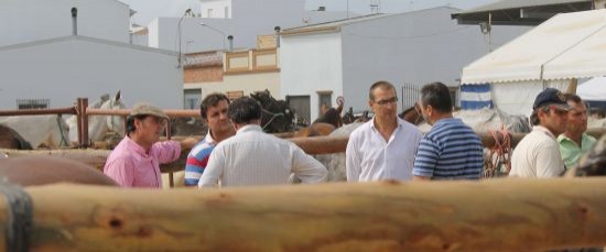 ÉXITO SIN PRECEDENTES DE LA I FERIA DE GANADO CIUDAD DE BOLULLOS
