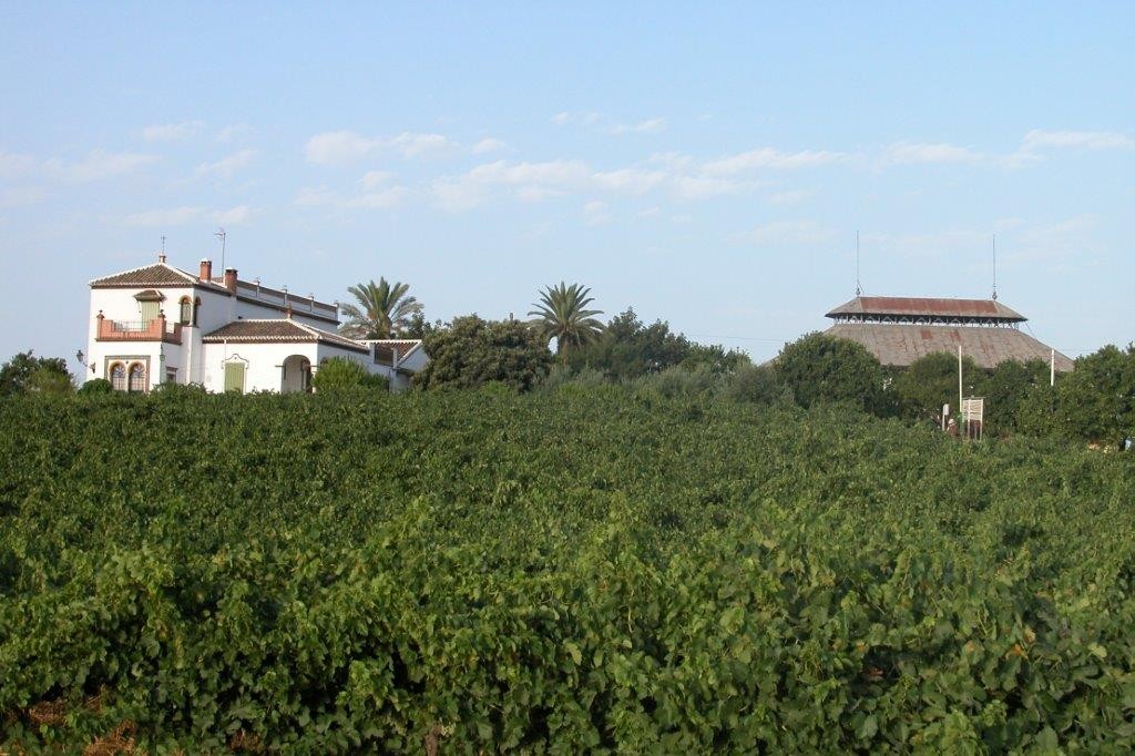 Majuelo de Soto y pabellón con viñas