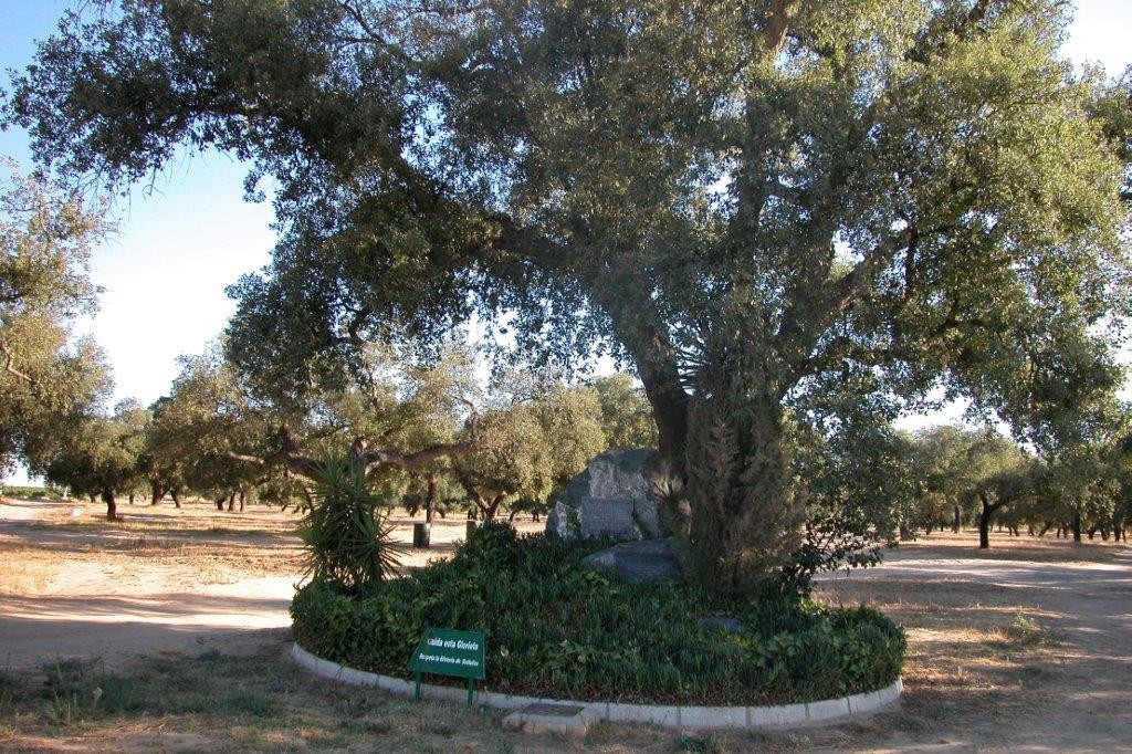 Parque Natural de San Sebastián