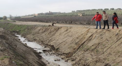 EL AYUNTAMIENTO LIMPIA MAS DE 7 KILÓMETROS DE ARROYO DEL TÉRMINO MUNICIPAL DE BOLLULLOS
