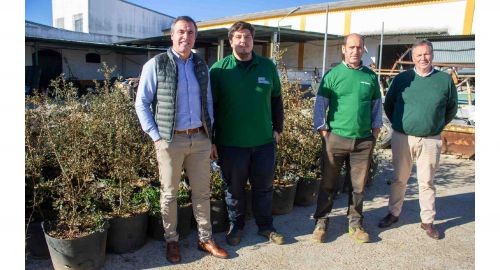 EL AYUNTAMIENTO PLANTA LOS 60 ALCORNOQUES DONADOS POR LA EMPRESA LOCAL ABONOS Y ENMIENDAS SL