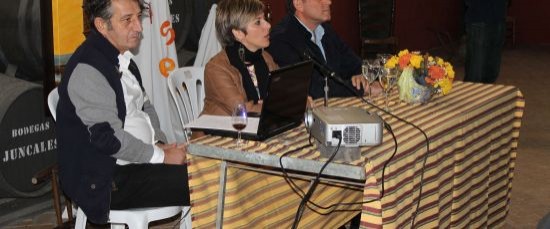 BALANCE DE ACTIVIDADES EN MEDIOAMBIENTE, MUJER Y MOVILIDAD 