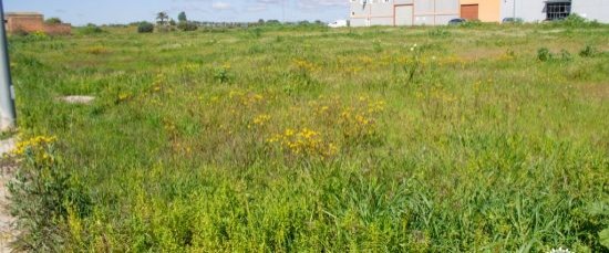 SALE A LA VENTA UNA NUEVA FASE DE 2.500 m² DE SUELO INDUSTRIAL EN EL P.I. EL LIRIO