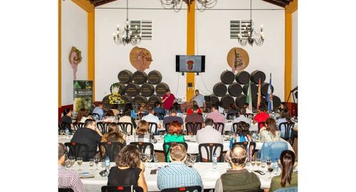 MAGNÍFICA ACOGIDA DEL CURSO DE CATA DE VINOS EN LA XXIII EDICIÓN DE LA SEMANA DE LA VITICULTURA.