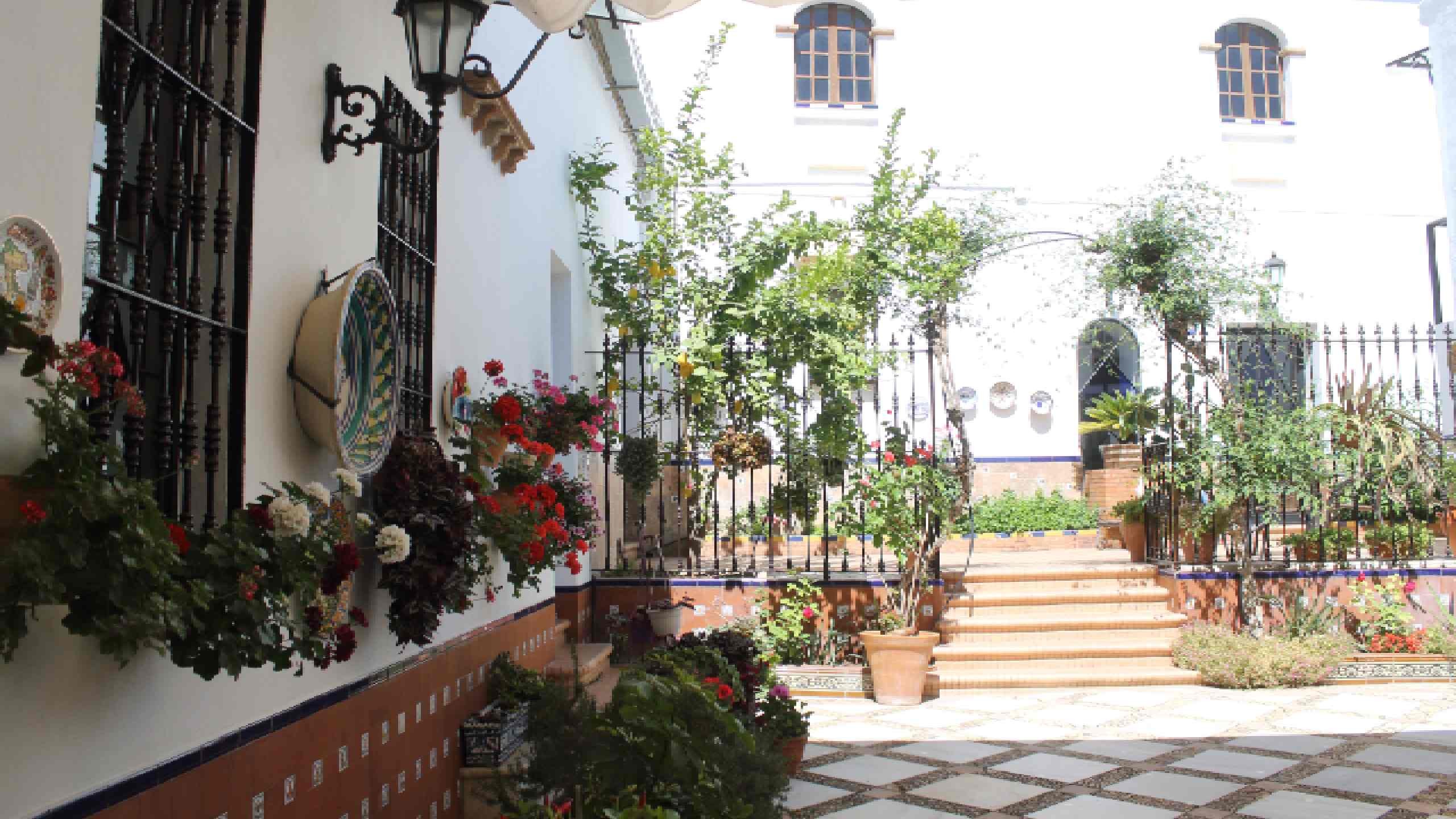 ENTREGADOS LOS PREMIOS DEL IX CONCURSO DE PATIOS, CALLES Y BALCONES