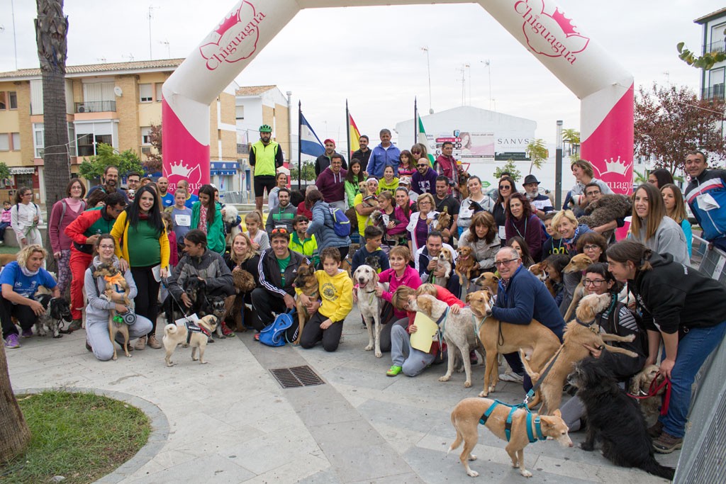 II CANI CROSS CIUDAD DE BOLLULLOS