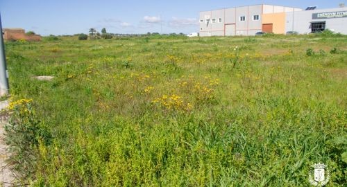 SALE A LA VENTA UNA NUEVA FASE DE 2.500 m² DE SUELO INDUSTRIAL EN EL P.I. EL LIRIO