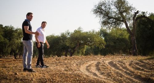 TRABAJOS DE LIMPIEZA EN LA DEHESA PARA EVITAR INCENDIOS