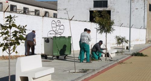 EL AYUNTAMIENTO INICIA UNA CAMPAÑA DE REPLANTACIÓN EN PARQUES Y JARDINES