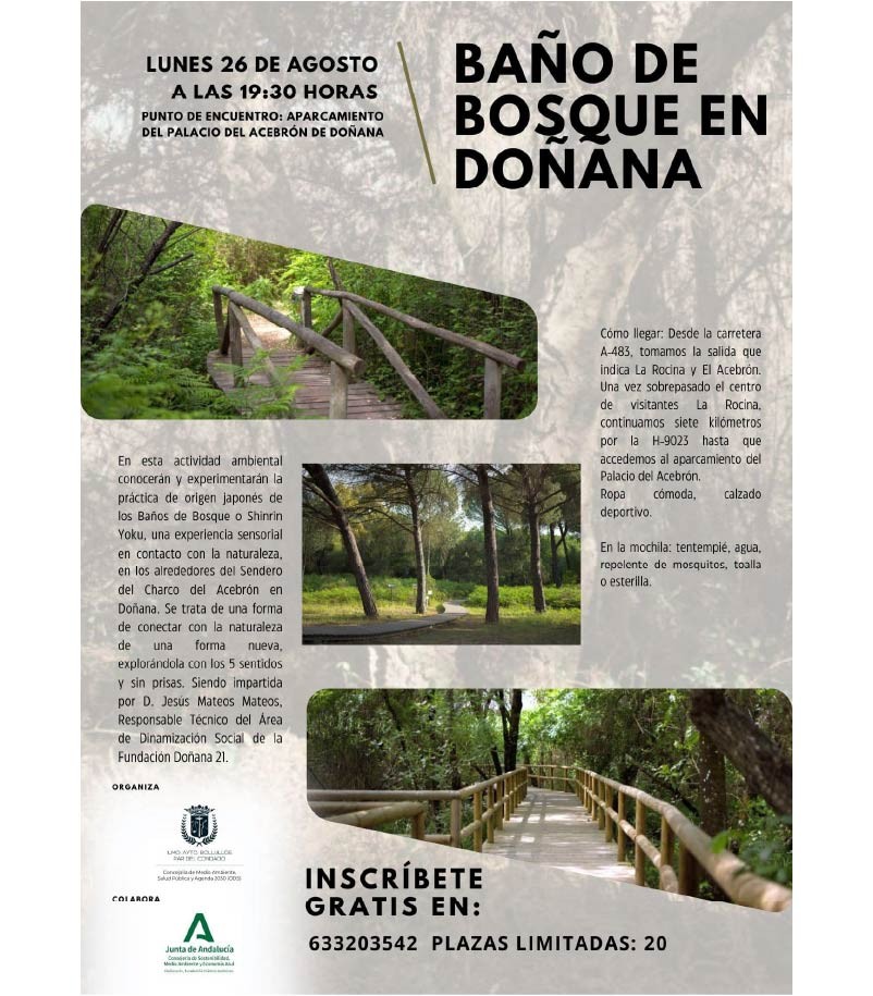 BAÑO DE BOSQUE EN DOÑANA agosto 2024