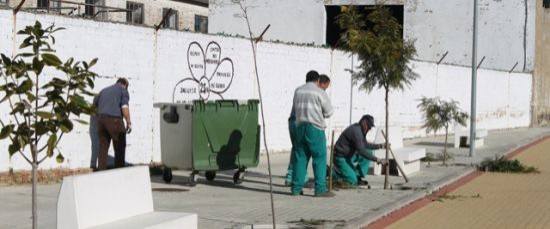 EL AYUNTAMIENTO INICIA UNA CAMPAÑA DE REPLANTACIÓN EN PARQUES Y JARDINES