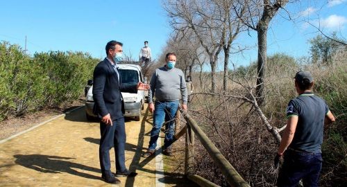 ACONDICIONAMIENTO Y MEJORAS DEL PASEO PEATONAL DE LA ERMITA